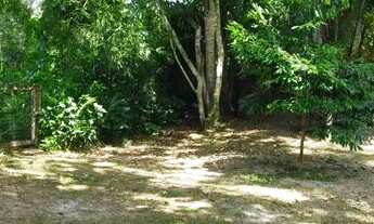 Imagem 6: Excelente terreno em Paraty próximo praias e cachoeiras