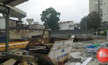 Imagem 3: São Paulo - Terreno Padrão - Vila Prudente