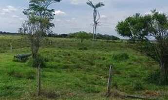 Imagem 2: Fazenda com 65 alqueires disponível a venda em Linhare-ES