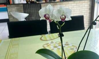 Imagem 7: Casa RESIDENCIAL VITORIA BOITUVA SP Brasil