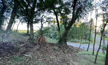 Imagem 7: Terreno - Bairro Quinta da Serra