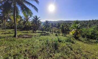 Imagem 6: Terreno para venda em Barra do Itariri - Conde - BA