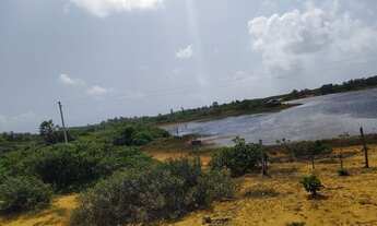 Imagem: Lote/Terreno para venda tem 1845 metros