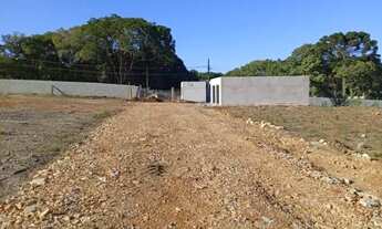 Imagem 3: Terrenos Atrás do Posto Tio Ari Região do Atuba-Ribeira Colombo