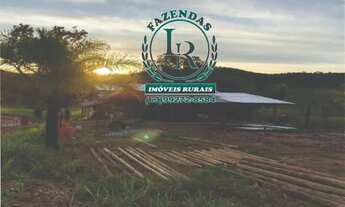 Imagem 2: Chácara/Fazenda 6.5 Alqueires