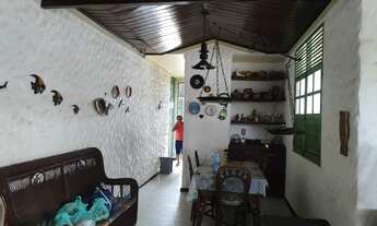 Imagem 4: Mosqueiro murubira