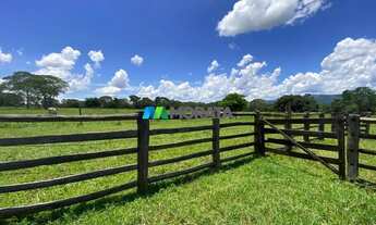 Imagem 6: FAZENDA À VENDA - 1.300 HECTARES - BURITIS (MG