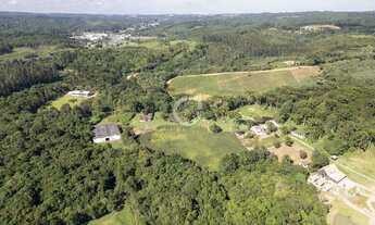 Imagem 6: Sítio com 10 Alqueires a 30 Min de Curitiba Estrutura Completa e 90% Mecanizável