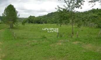 Imagem 7: Terreno à Venda em Suzano/SP Ideal para Investidores , Área de 194.153,97 m²