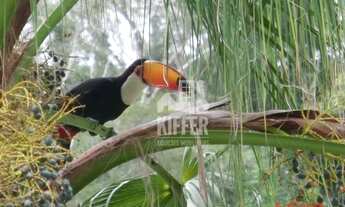 Imagem 2: Sítio, Sera da Tiririca Venda