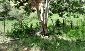 Imagem 3: Venda-se está propriedade de 7,5 alqueires e meio no Município de presidente Kennedy/ES