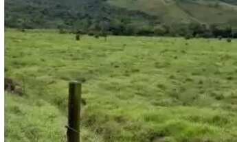 Imagem 7: Venda-se está propriedade de 44 hectares (09 alqueires), no Município de Mimoso do Sul/ES