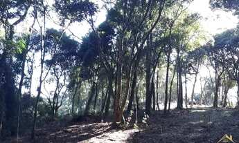 Imagem 5: Área de terras com vista deslumbrante para o vale e montanhas. Linha Imperial. REF: 242