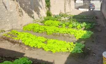 Imagem 2: Venda Casa com 2 dormitórios