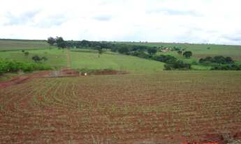 Imagem 2: Fazenda em lavoura 56 alqueires Anápolis-go