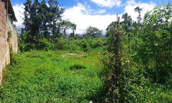 Imagem 3: Terreno à venda, 293 m² por R$ 160.000 - Balneário dos Golfinhos - Caraguatatuba/SP