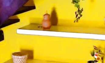 Imagem 6: Ainda temos vagas para 2025, casa com melhor custo benefício