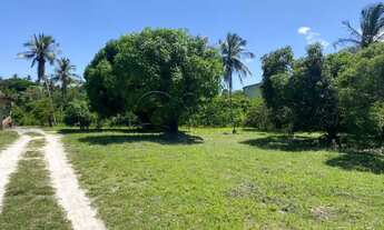 Imagem: Sitio em área urbana no Marcos Freire III