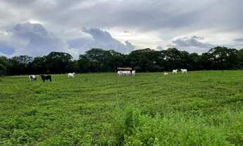 Imagem 2: Fazenda região de Formosa Go