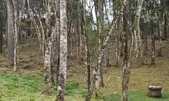 Imagem 3: Terreno Urbano para Venda em Quatro Barras, Centro