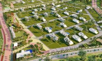 Imagem 3: LOTE REPASSE PALMEIRA AZUL LAGO MONTENEGRO