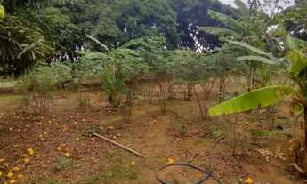 Imagem 3: Vendo terreno no Incra 9 gleba 4 Ceilândia Norte de 5 mil metros