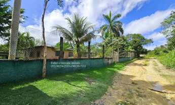 Imagem 4: Sítio Terreno Chácara KM 08 BR 174 Ramal Claudio Mesquita e da Capivara Manaus-AM 7.139m²