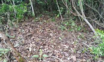 Imagem 7: Sítios e chacaras Anápolis