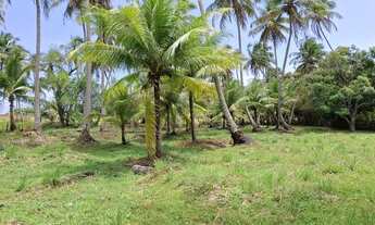 Imagem 7: Sítio com 7380m² à venda na Massagueira em Marechal Deodoro