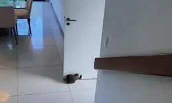 Imagem 2: Imóvel de Luxo com Piscina pra venda ou locação, Bairro Paiva em Santo Agostinho, Cabo de