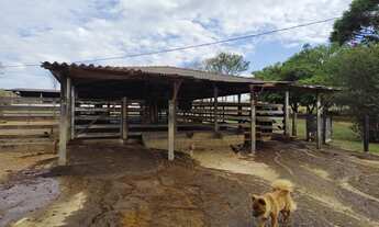 Imagem 7: Fazendinha em Hidrolândia-go