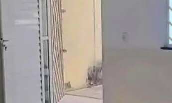 Imagem 3: 01- Vila Luizão