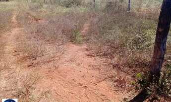 Imagem 2: Fazenda à Venda em Arenópolis - GO | 76 Alqueires