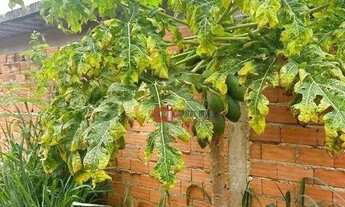 Imagem 3: Terreno à venda, 125 m² por R$ 98.000 - Reserva da Barra - Jaguariúna/SP