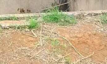 Imagem 5: Chácara em aparecida de Goiânia