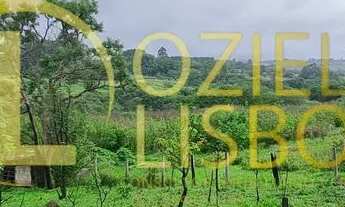 Imagem 4: CHÁCARA 08 HECTARES INCRA 08 CASA 04 QUARTOS PISCINA CHURRASQUEIRA 2km CHÃO MUITA ÁGUA 5km