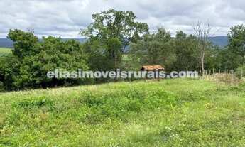 Imagem 4: Fazenda em Araguari - 14,88 alqueires