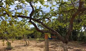 Imagem 4: Chácara 1000mt Chácara com venda por R$20.000