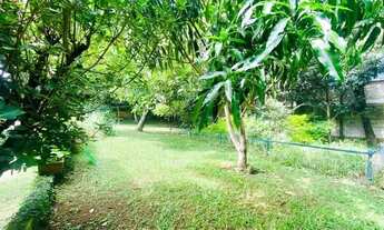 Imagem 5: Já pensou morar em meio a muito verde em amplo terreno a 50 passos da Av Lucas?