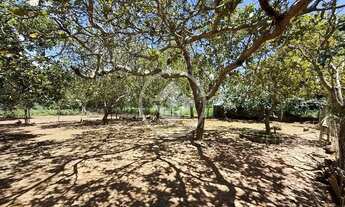 Imagem: Hidrolândia - Chácara de 5.000 m² codigo