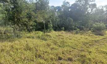 Imagem 2: Vendo chácara Chácara com venda por R$150.000