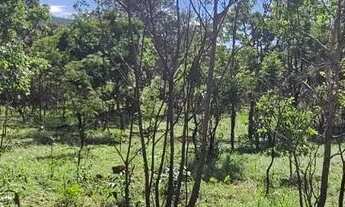 Imagem 3: Terrenos de 1.000m² a 19 km de Pirenópolis com oferta para os 10 primeiros