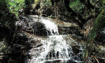 Imagem 6: Sítio com 5 Cachoeiras