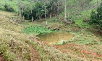 Imagem 6: Fazendinha - região nobre entre Cordeiro e Macuco