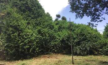 Imagem 3: Chacara Hipica - 2800 m²