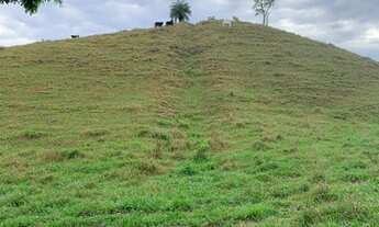 Imagem 3: Fazendinha - região nobre entre Cordeiro e Macuco