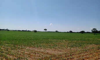 Imagem 7: Fazenda 52 Hectares em Martinho Campos
