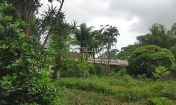 Imagem 8: Rio de Janeiro - Terreno Padrão - Recreio dos Bandeirantes