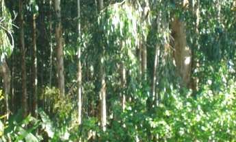 Imagem 2: Chacara 45.400m²