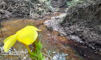 Imagem 5: Chácara em Glorinha RS, com vertentes e Escriturada!
